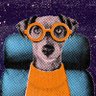 Profilbild von Cachorro do 𝕏