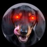 Odie the ₿ad Dachshund's profile picture