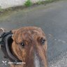 Фото профиля francesco
