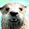 Y. I. Otter's profile picture