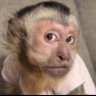 Juli's profile picture