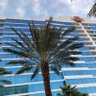 Miami X profil fotoğrafı