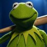 Anonymous Frog 的头像