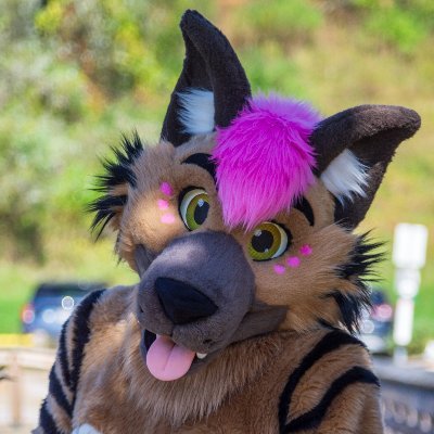 Jax Hyena / Glacier Husky ๐ FE, AC's profile picture