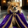 Profilbild von EmperorPedroII