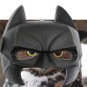 El búho enmascarado profil fotoğrafı