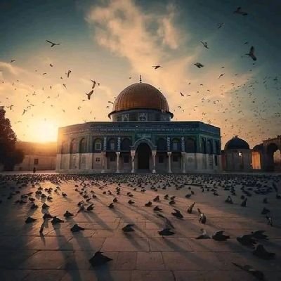 AlkwasrMhjt's profile picture
