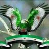alibrahim alibrahim 的头像