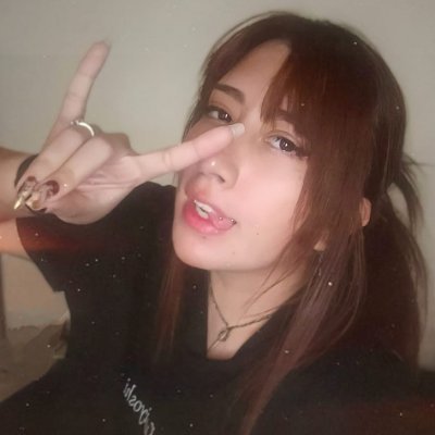 🌷🐲NiikaSauria🐲🌷 COMISIONES ABIERTAS's profile picture