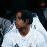 Endrick 🇧🇷's profile picture