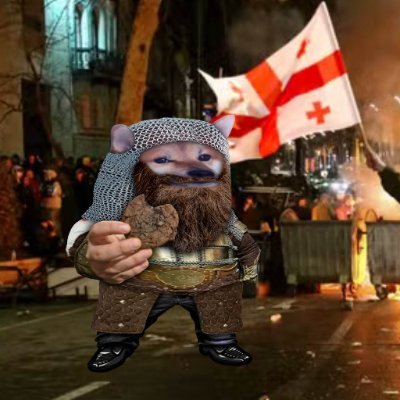 Ako მაქაცარია 🇬🇪 🇺🇦's profile picture
