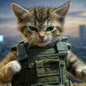 FIGHTER KITTEN's profile picture