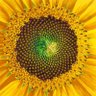 Fairminded's profile picture
