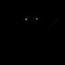Profilbild von Astrichor