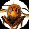 Johnny Bingo's profile picture