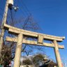 森岡幸也 的头像