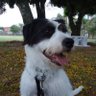 Profilbild von isnupi