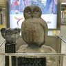 なかた 的头像