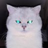 H profil fotoğrafı