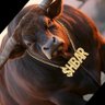 Фото профиля HoustonS28