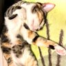 ã¯ãã@2茪ãšé£ããšç«ãšæ¬ãšè²ã
profil fotoÄrafı