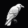 Profilbild von Raven