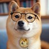 DoggoMaestro𝕏🇺🇸 profil fotoğrafı