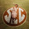 Eric Mitchell's profile picture