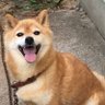 ゆうへい's profile picture