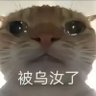 线条小狗 profil fotoğrafı