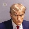 Ultra Sigma Donald Trump's profile picture