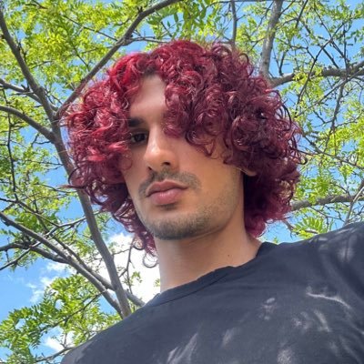 KRTS 🐦🔥's profile picture