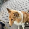 十五 的头像