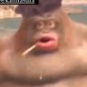 Profilbild von YOINKY