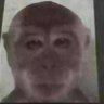 Gabrieel profil fotoğrafı