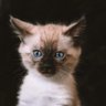 Love's profile picture