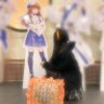 とと🍫🧸's profile picture