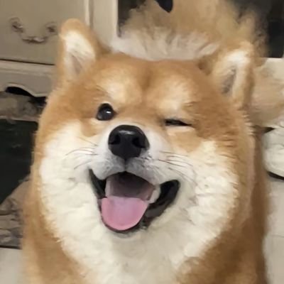 你猜我猜不猜's profile picture