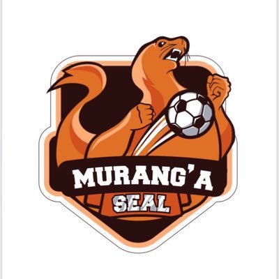 murangaseal's profile picture