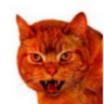 RredCat profil fotoğrafı