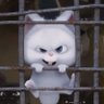 Profilbild von 깡토