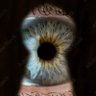 Fetvoyeur's profile picture