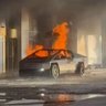 dumpster fire's profile picture