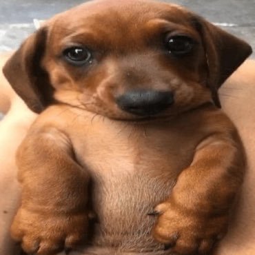 farofilson's profile picture