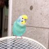 もかち 的头像