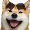 inumyg 🟠 NFTARMY's profile picture