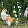 猫写真家 沖 昌之 (MASAYUKI OKI) 的头像