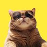 ..฿ee..'s profile picture