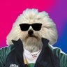joners profil fotoğrafı