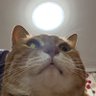 reusu's profile picture